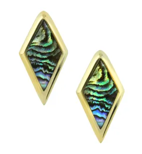 Long Zircon Abalone Brass Ear Weights