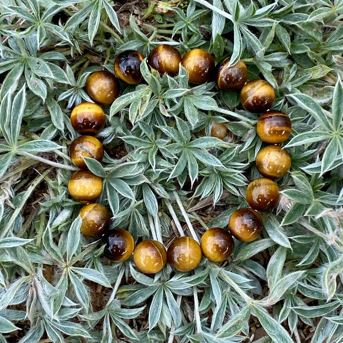 Tiger Eye Grounding Bracelet